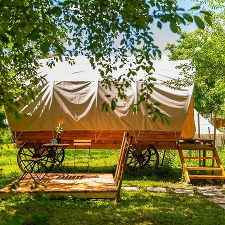 Отель Dragonfly Gardens - The Wagons Брашов Экстерьер фото