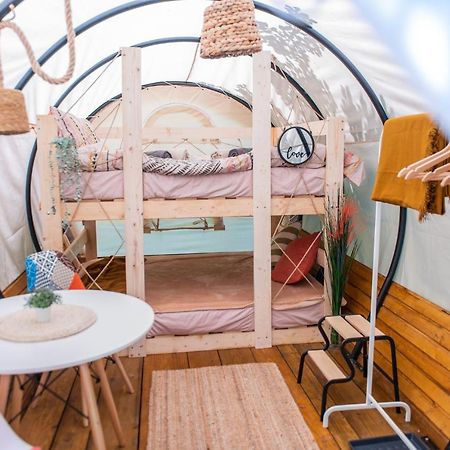 Отель Dragonfly Gardens - The Wagons Брашов Экстерьер фото