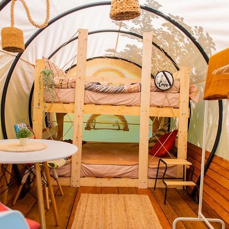 Отель Dragonfly Gardens - The Wagons Брашов Экстерьер фото