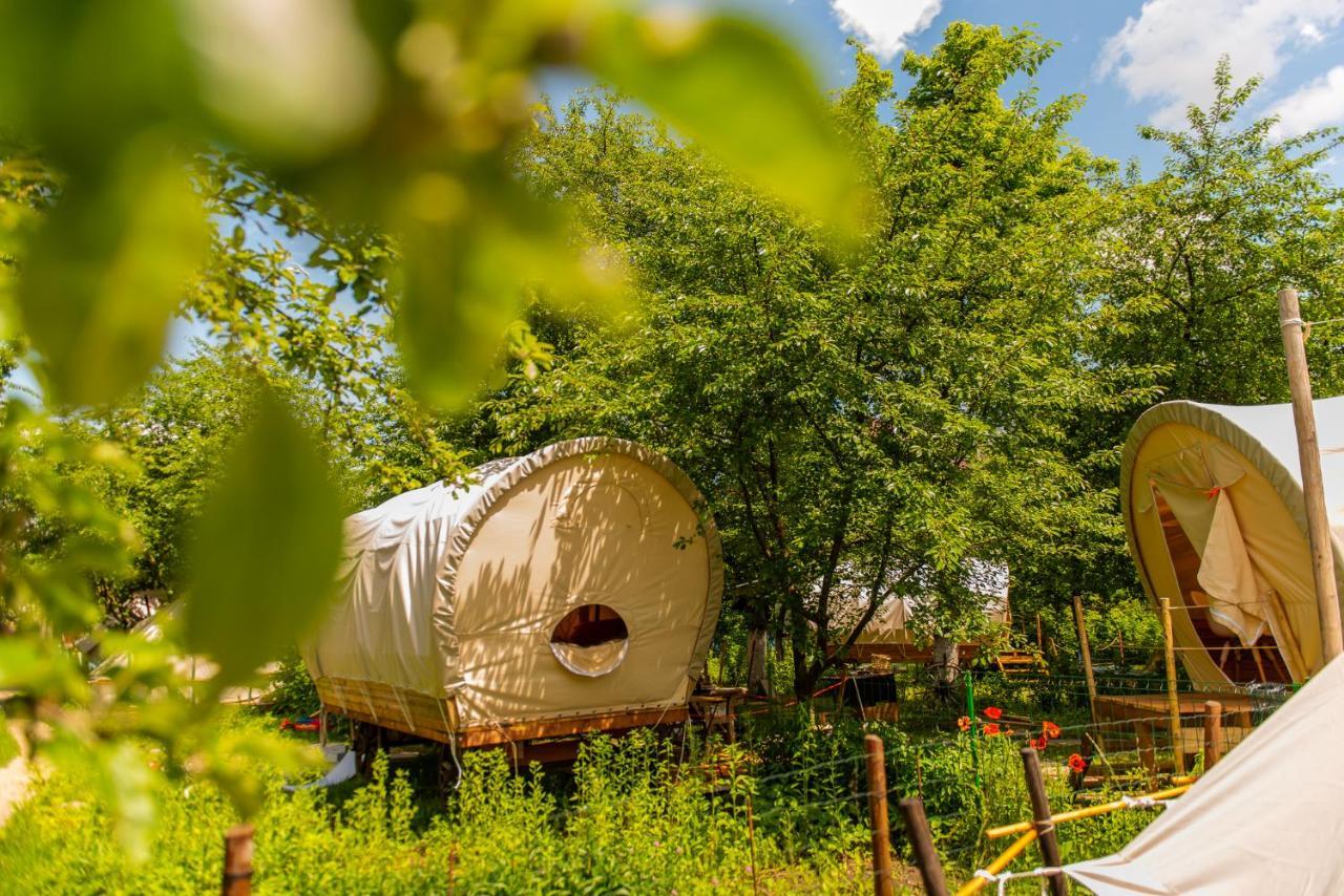 Отель Dragonfly Gardens - The Wagons Брашов Экстерьер фото