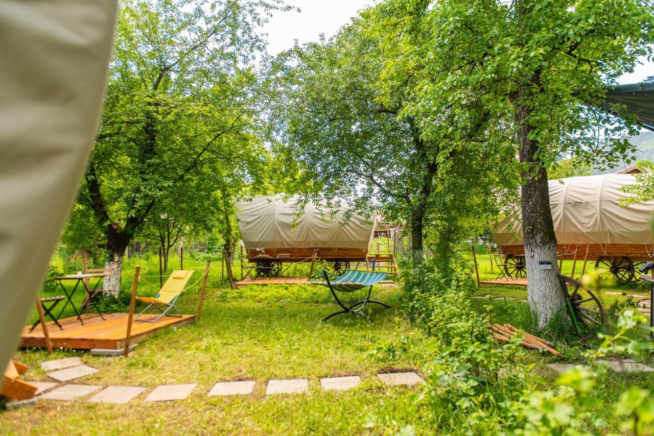 Отель Dragonfly Gardens - The Wagons Брашов Экстерьер фото