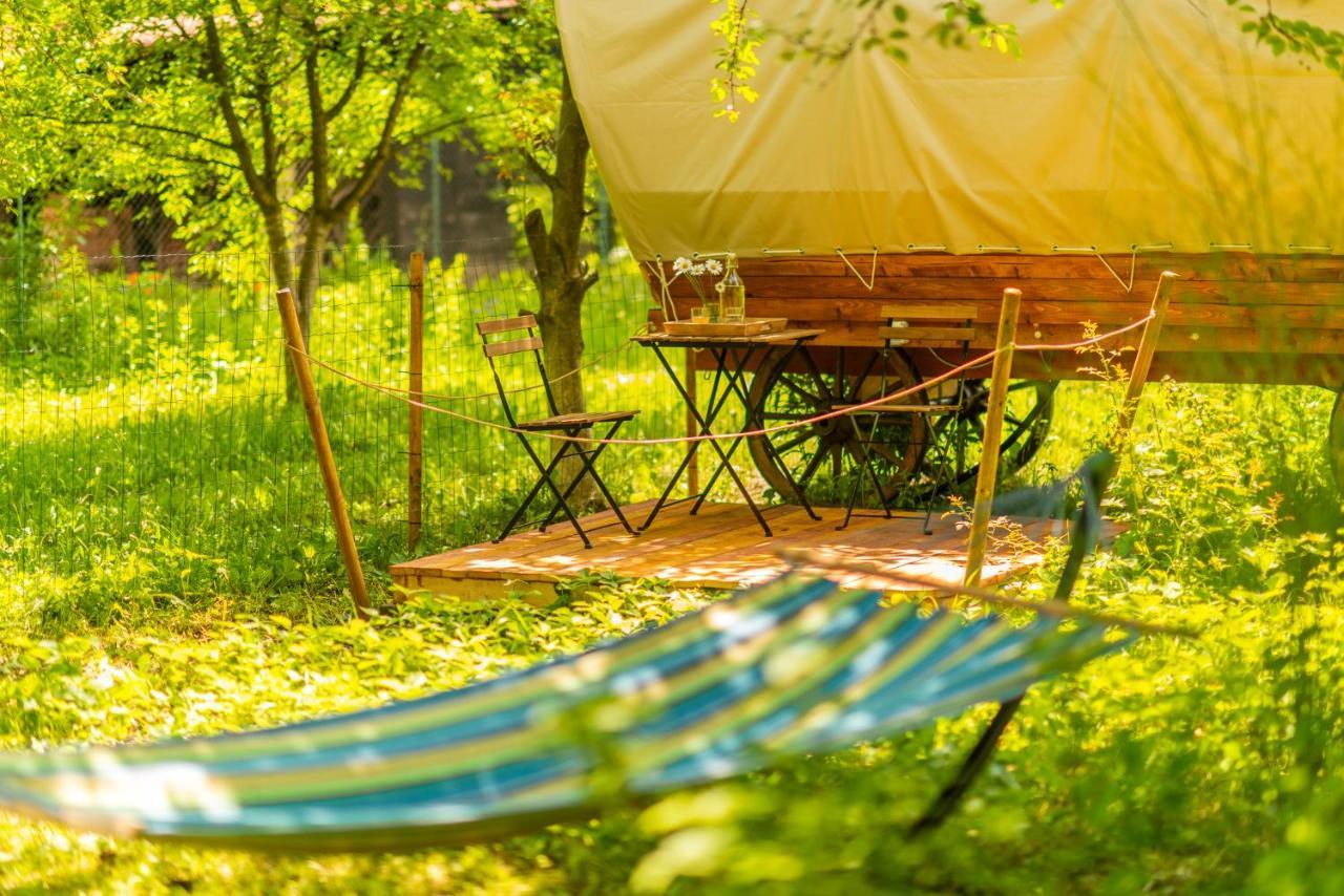 Отель Dragonfly Gardens - The Wagons Брашов Экстерьер фото