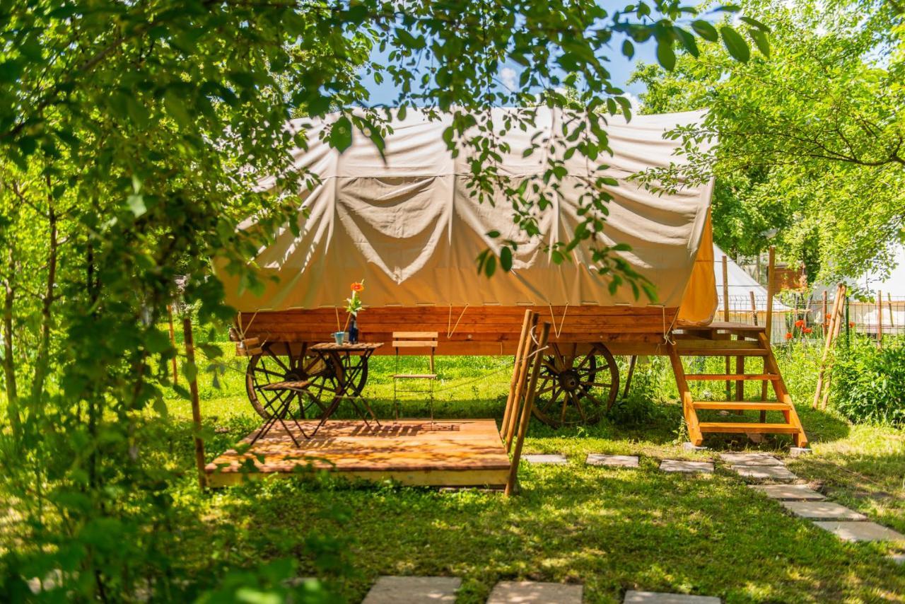Отель Dragonfly Gardens - The Wagons Брашов Экстерьер фото