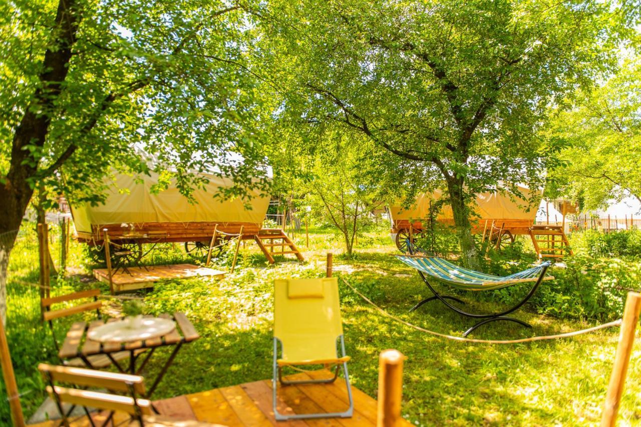 Отель Dragonfly Gardens - The Wagons Брашов Экстерьер фото