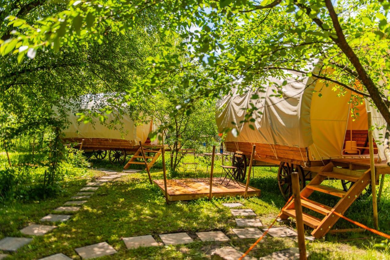 Отель Dragonfly Gardens - The Wagons Брашов Экстерьер фото
