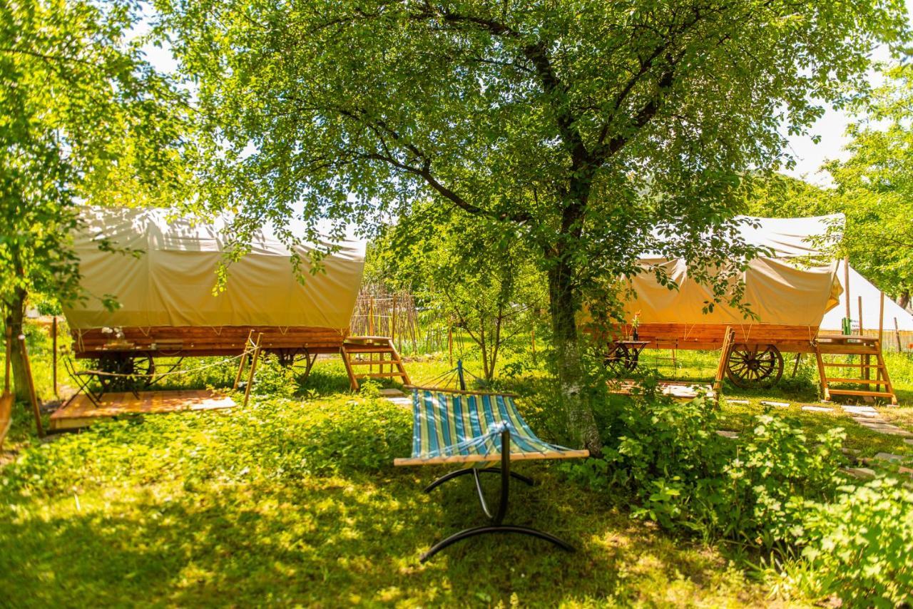 Отель Dragonfly Gardens - The Wagons Брашов Экстерьер фото