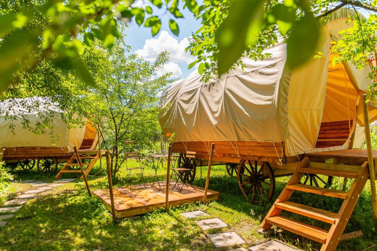 Отель Dragonfly Gardens - The Wagons Брашов Экстерьер фото