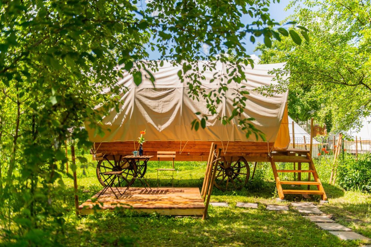 Отель Dragonfly Gardens - The Wagons Брашов Экстерьер фото