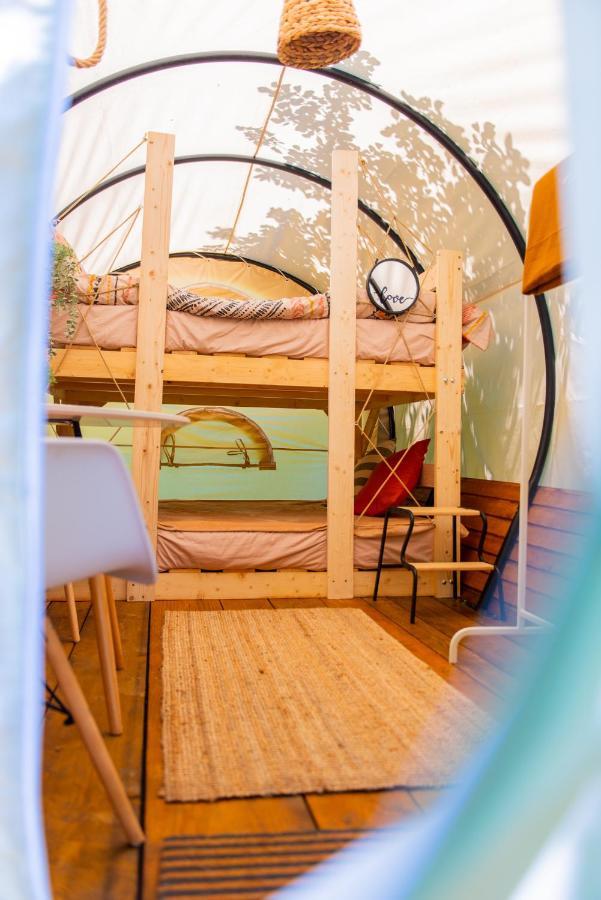 Отель Dragonfly Gardens - The Wagons Брашов Экстерьер фото