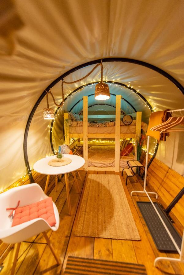 Отель Dragonfly Gardens - The Wagons Брашов Экстерьер фото