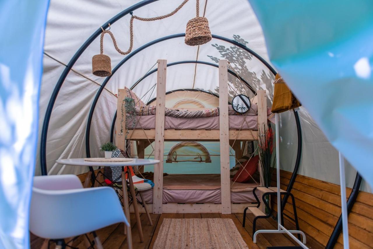 Отель Dragonfly Gardens - The Wagons Брашов Экстерьер фото