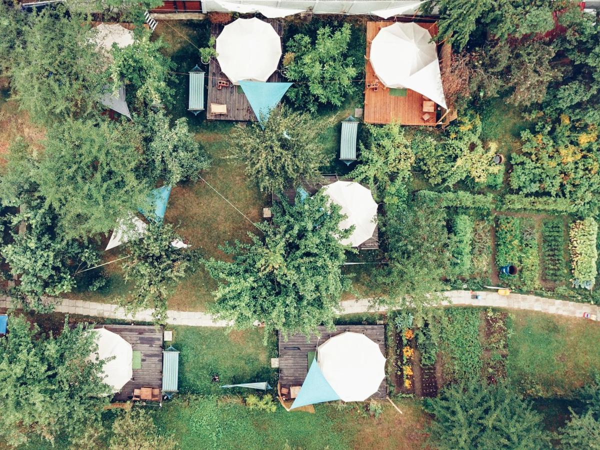 Отель Dragonfly Gardens - The Wagons Брашов Экстерьер фото