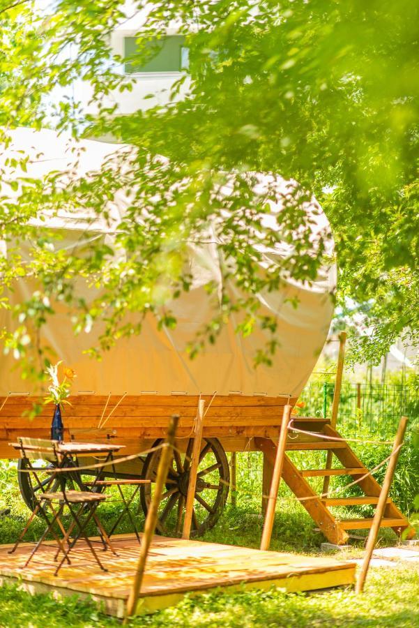 Отель Dragonfly Gardens - The Wagons Брашов Экстерьер фото