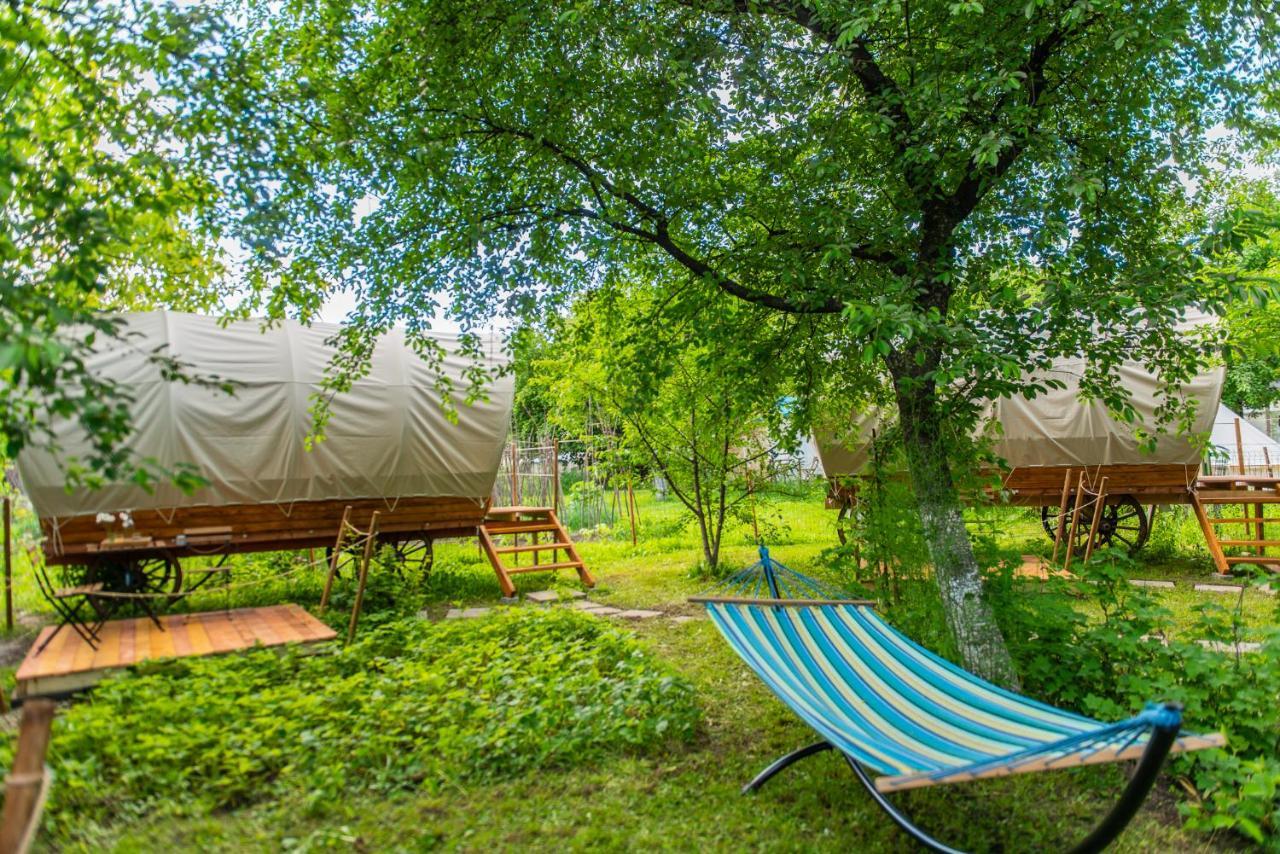 Отель Dragonfly Gardens - The Wagons Брашов Экстерьер фото