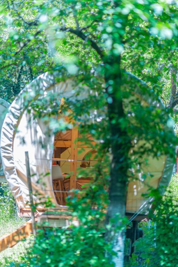 Отель Dragonfly Gardens - The Wagons Брашов Экстерьер фото
