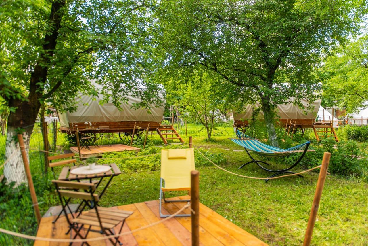 Отель Dragonfly Gardens - The Wagons Брашов Экстерьер фото