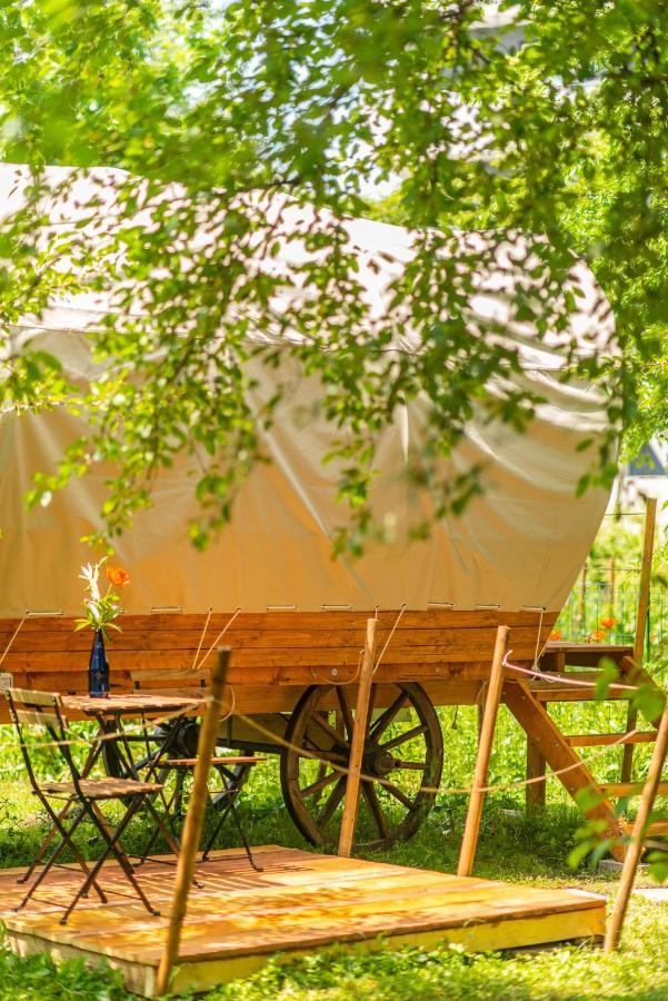 Отель Dragonfly Gardens - The Wagons Брашов Экстерьер фото
