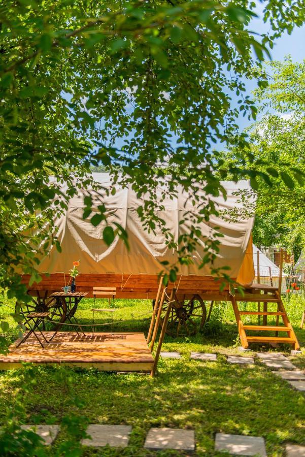 Отель Dragonfly Gardens - The Wagons Брашов Экстерьер фото