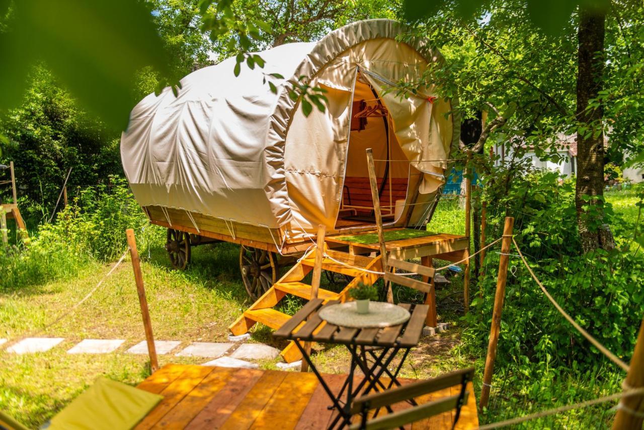 Отель Dragonfly Gardens - The Wagons Брашов Экстерьер фото