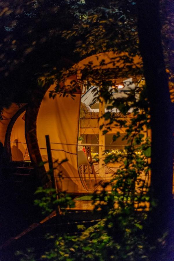 Отель Dragonfly Gardens - The Wagons Брашов Экстерьер фото
