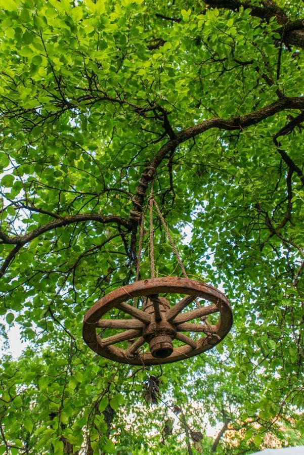 Отель Dragonfly Gardens - The Wagons Брашов Экстерьер фото
