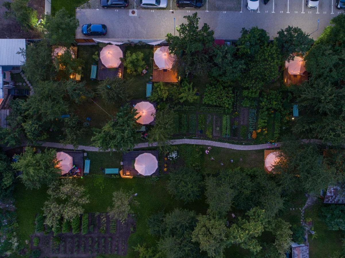 Отель Dragonfly Gardens - The Wagons Брашов Экстерьер фото