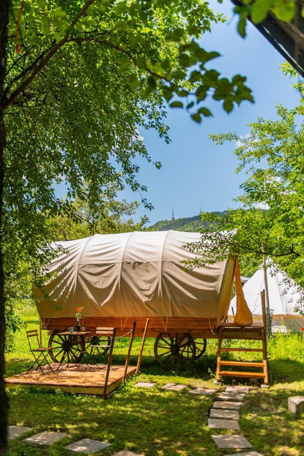 Отель Dragonfly Gardens - The Wagons Брашов Экстерьер фото
