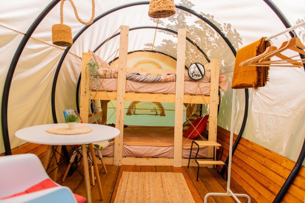 Отель Dragonfly Gardens - The Wagons Брашов Экстерьер фото