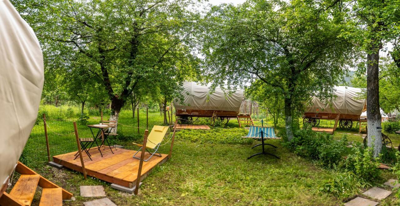 Отель Dragonfly Gardens - The Wagons Брашов Экстерьер фото